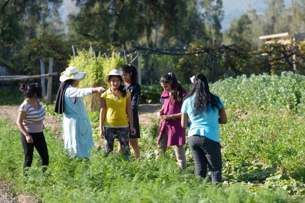 Gartenarbeit im Kinderdorf Cuatro Esquinas der Schwestern der heiligen Maria Magdalena Postel in Cochabamba, Bolivien